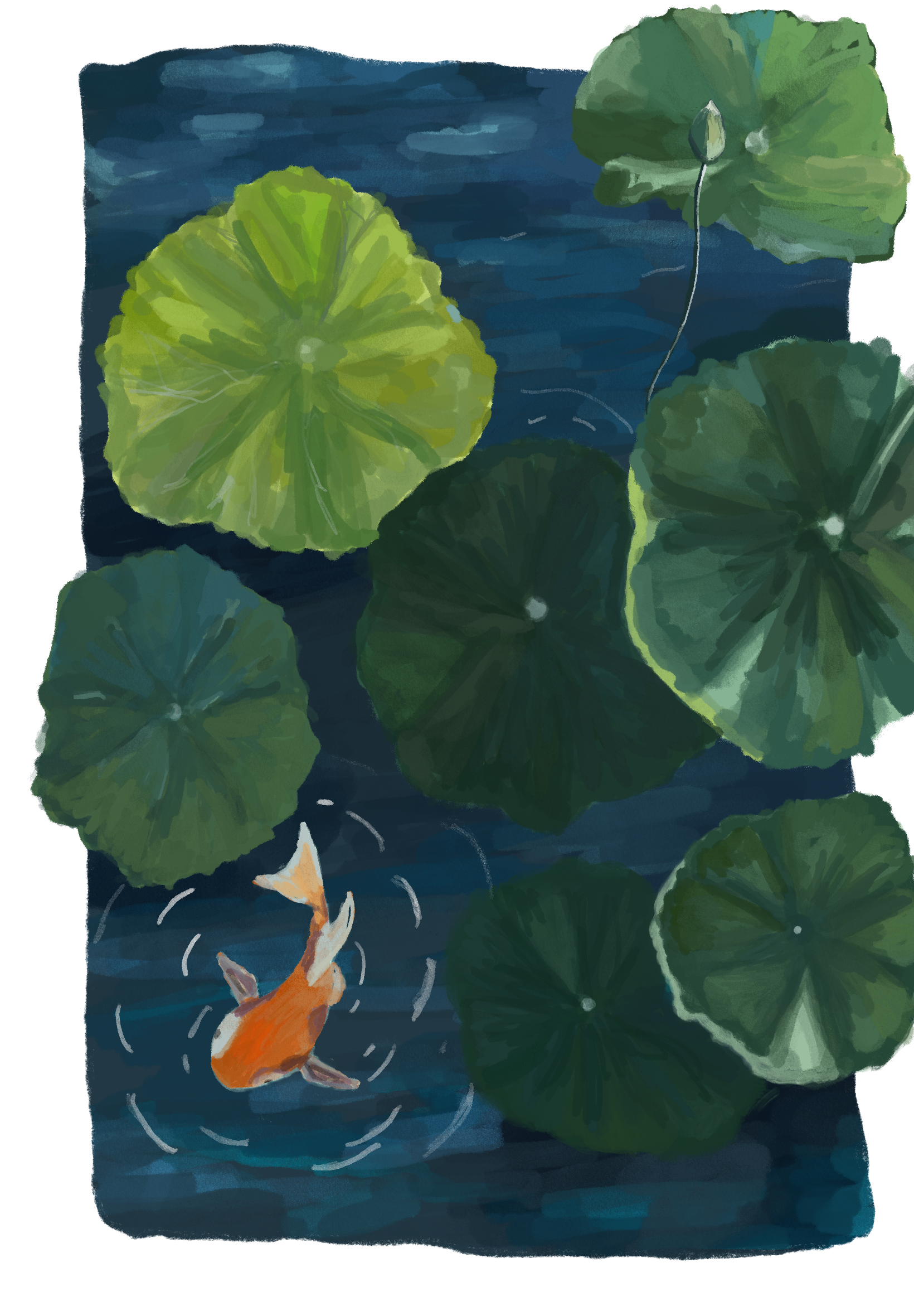 Watercolour-style pond illustration with koi fish